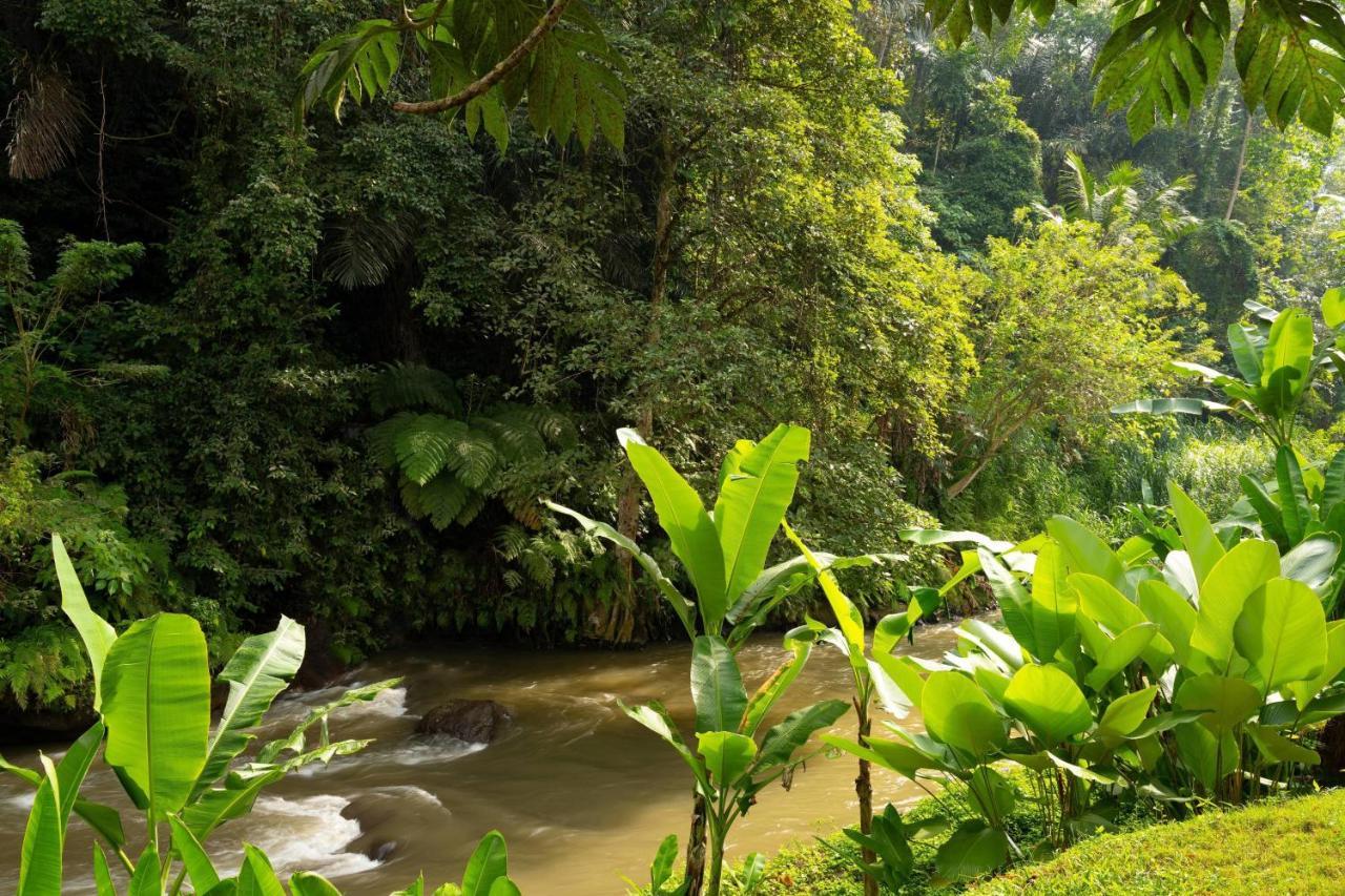 Отель Mandapa, A Ritz-Carlton Reserve Убуд Экстерьер фото