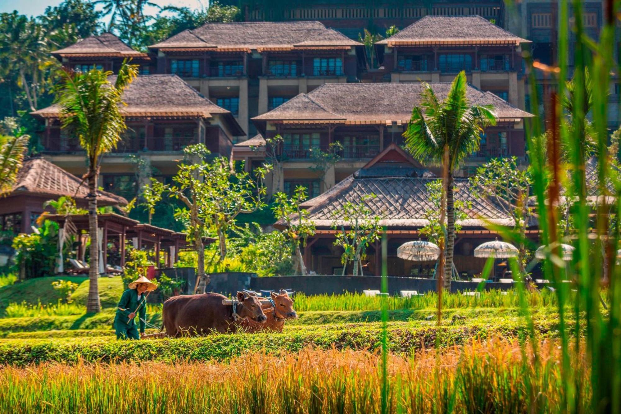 Отель Mandapa, A Ritz-Carlton Reserve Убуд Экстерьер фото